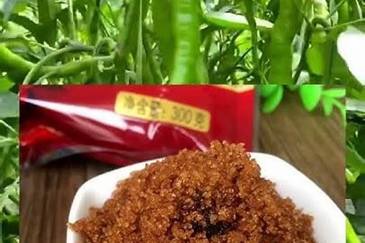 各位老师我的茄子发红该怎么处理