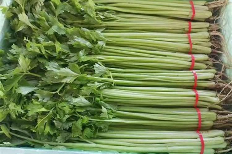 芹菜该如何追肥？