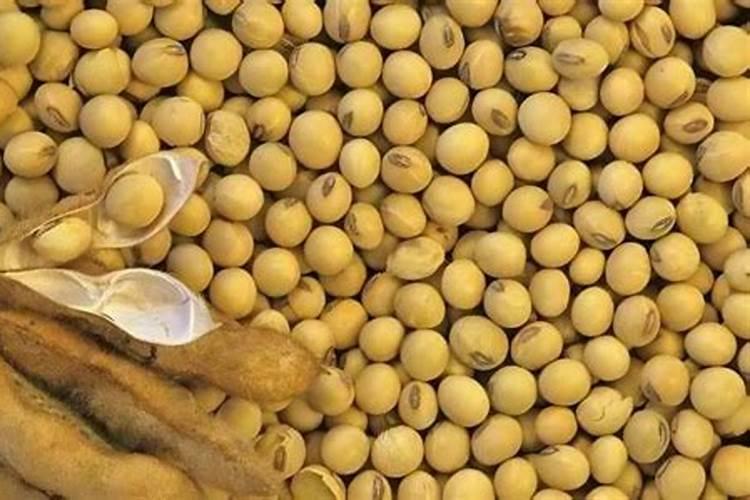 大棚种花一般都施什么肥料,黄瓜用什么肥料产量高