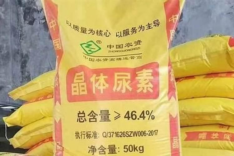 尿素属于氮肥吗