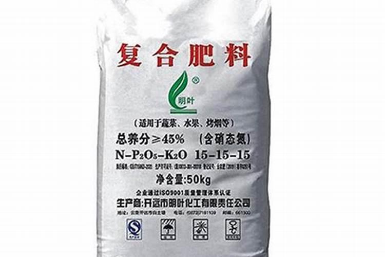 四季海棠施肥方法及注意事项 春季四季海棠怎么施肥