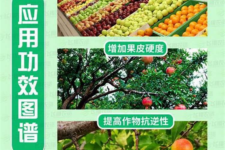 怎么判断米浆发酵好了？