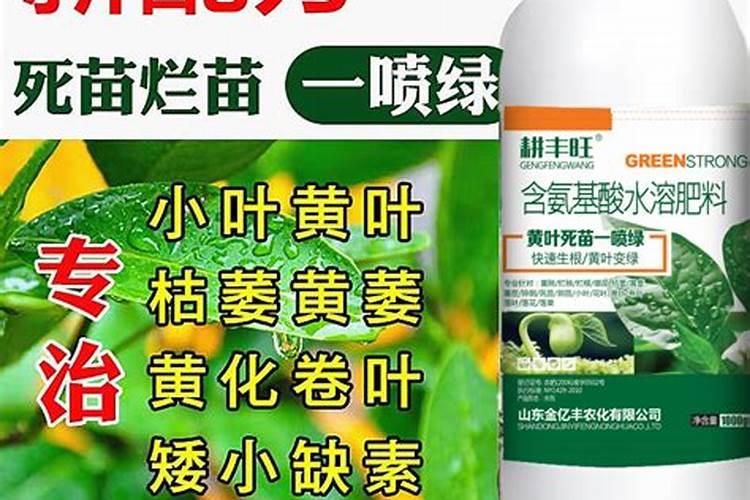 花卉叶面肥多久喷一次比较好 叶面肥打多了有害吗