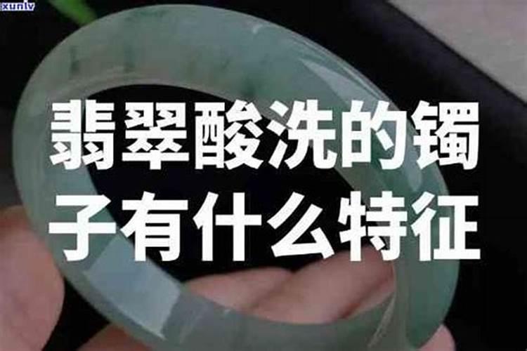 翡翠皇后植物可以水培吗