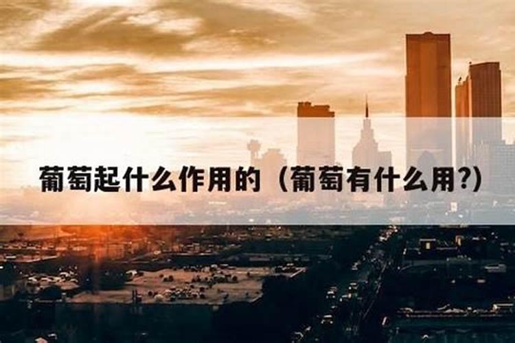 葡萄树使用什么肥料能长根