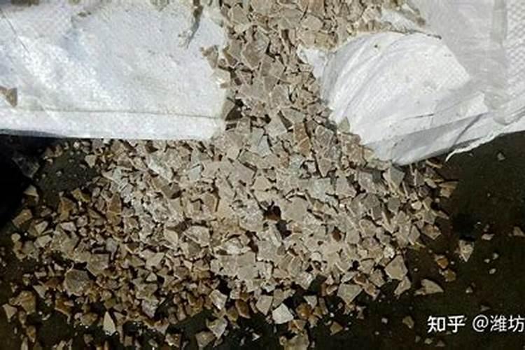 种毛豆几天浇一次水 种毛豆多少天浇一次水
