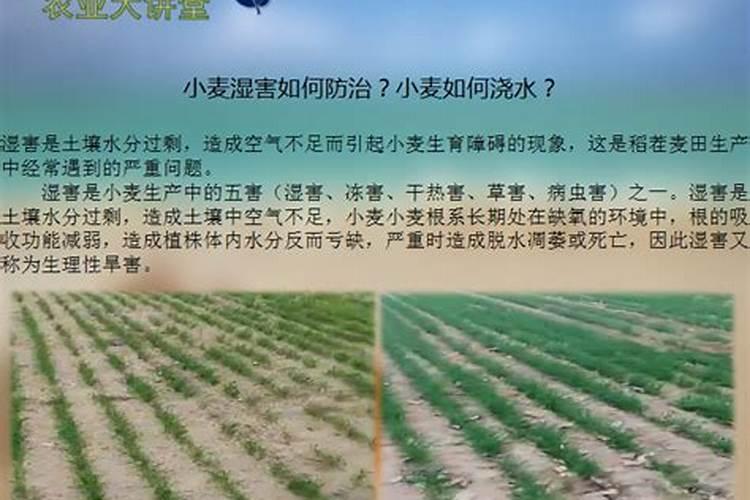 南昌深农是一级批发市场吗？