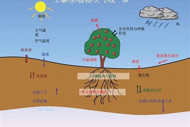 什么样的肥是氮肥