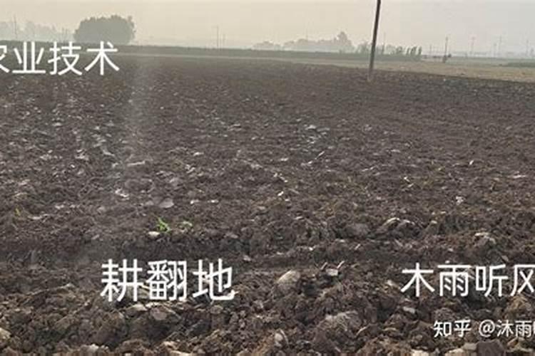 化肥中哪些是氮肥