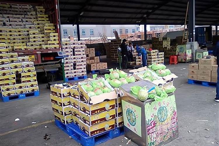 柑橘专用肥料颗粒全年都可以用吗？