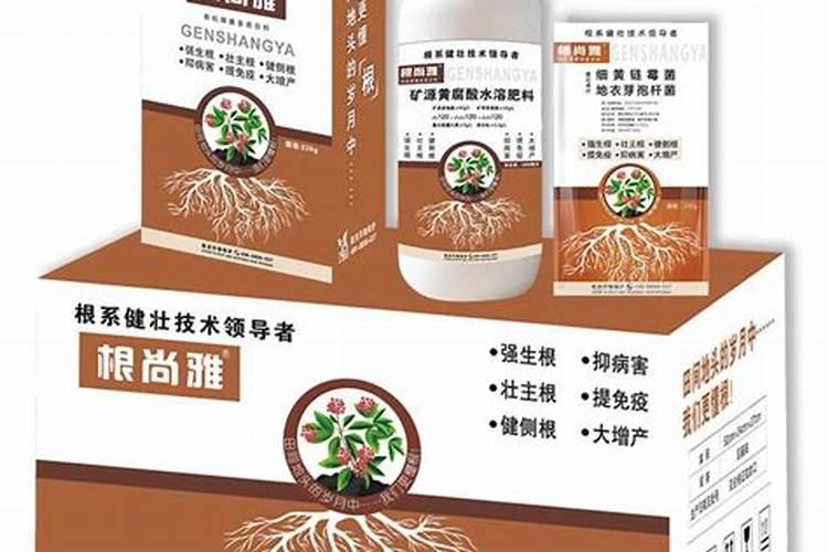 无土栽培蔬菜设备有哪些