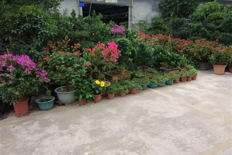 花草管理？