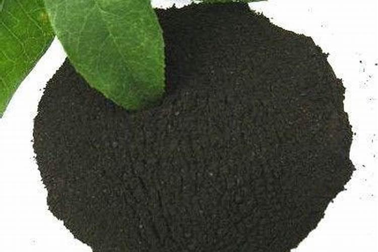 种植果树时需要施肥吗？