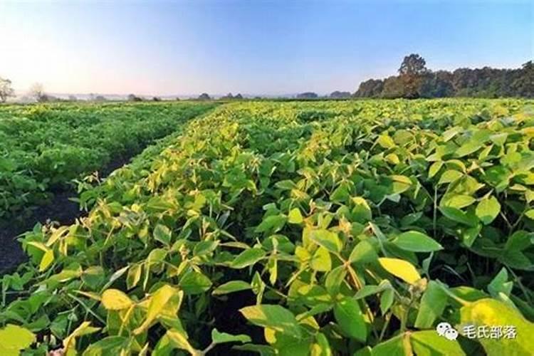 看不懂什么是复混肥料,复活肥跟复合肥有什么区别？