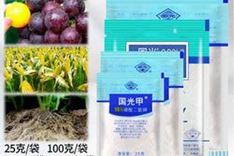 定远县的自然资源