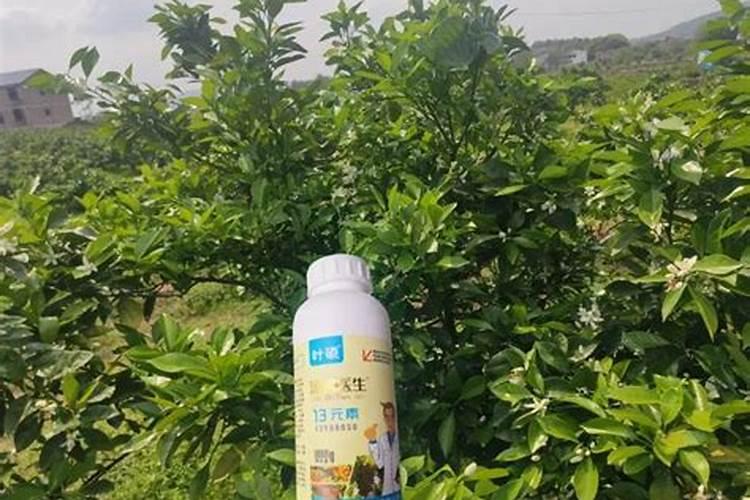 二十公斤氨基酸水溶肥兑多少斤水