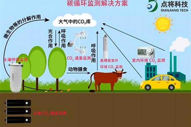 利用二氧化碳施肥的方法有哪些