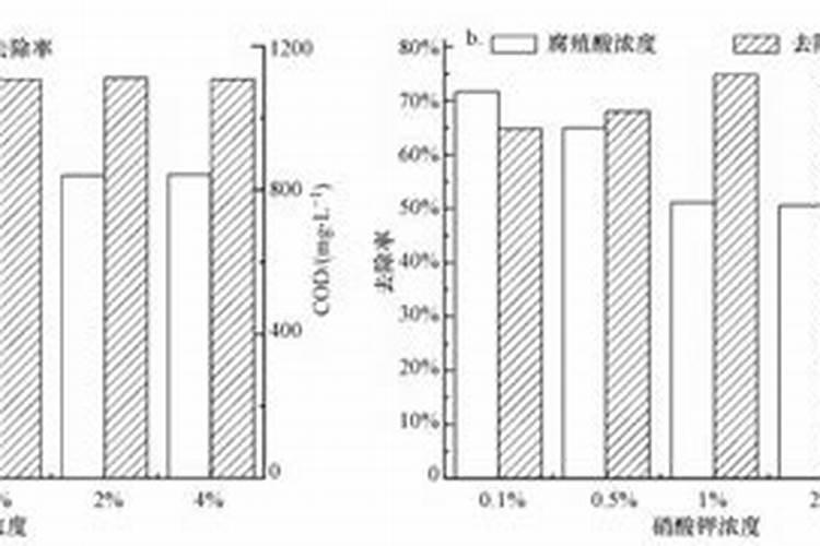 春季李子开花前后的施肥技术