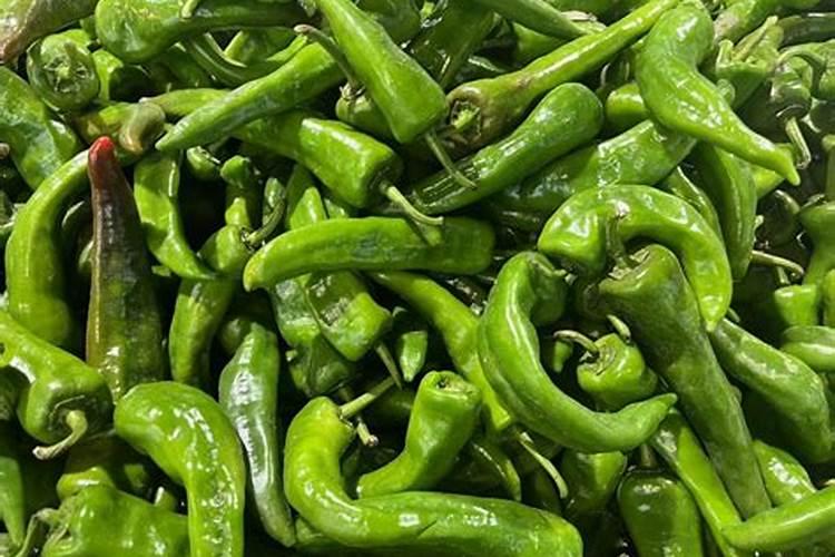 冬天种植辣椒喷点什么好？