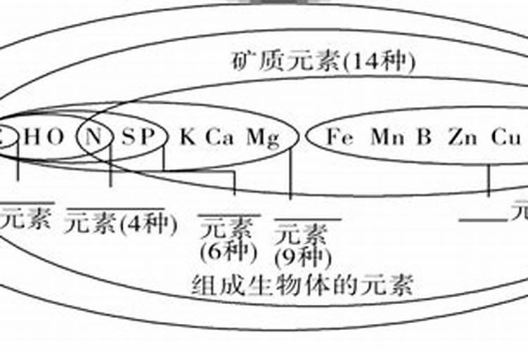 玉树不开花怎么办