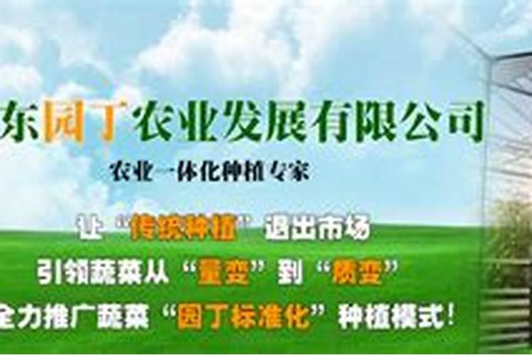 山东农业大学怎么样
