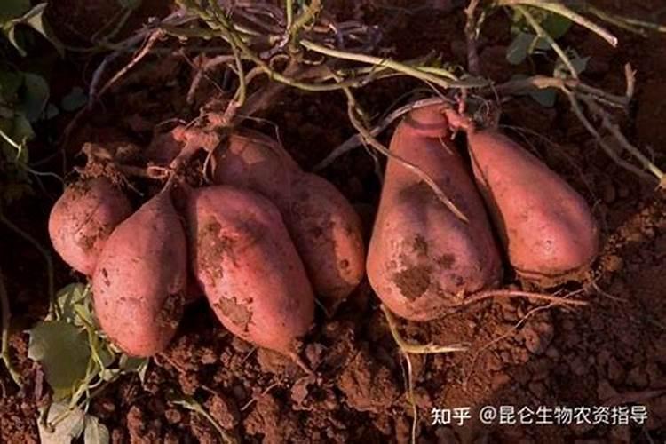 液氮是干什么用的 液态氮的危险性和使用须知