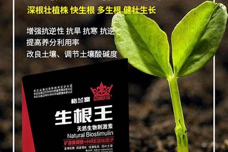 玉米什么时侯施碳铵磷肥？