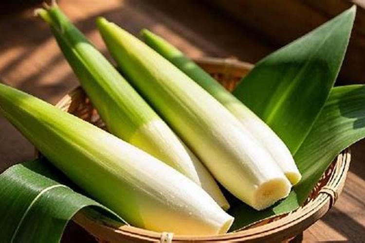 反季节种茭白成活率高吗？