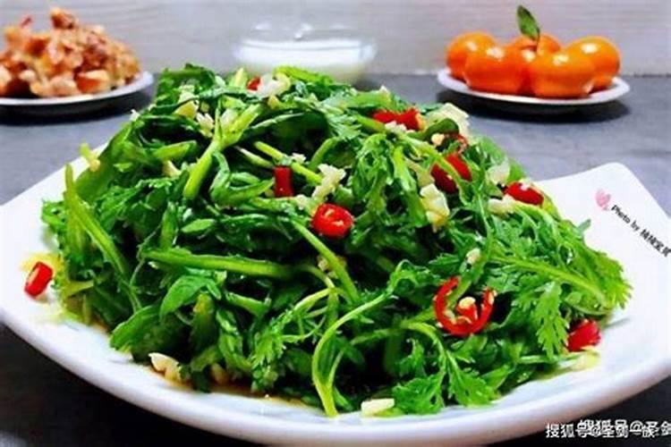 菊花怎么施肥