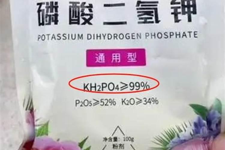虎皮兰能用磷酸二氢钾么？