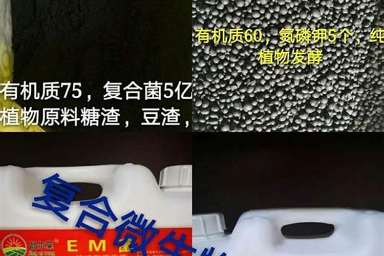 骨粉肥料怎么施肥最好
