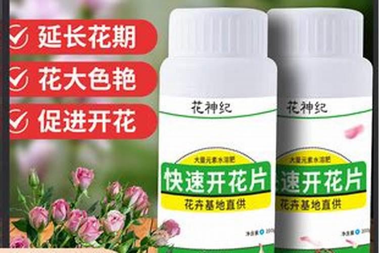 为了达到良好的催花效果,用哪种肥好