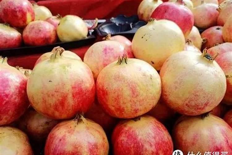 石榴树用什么肥料最好