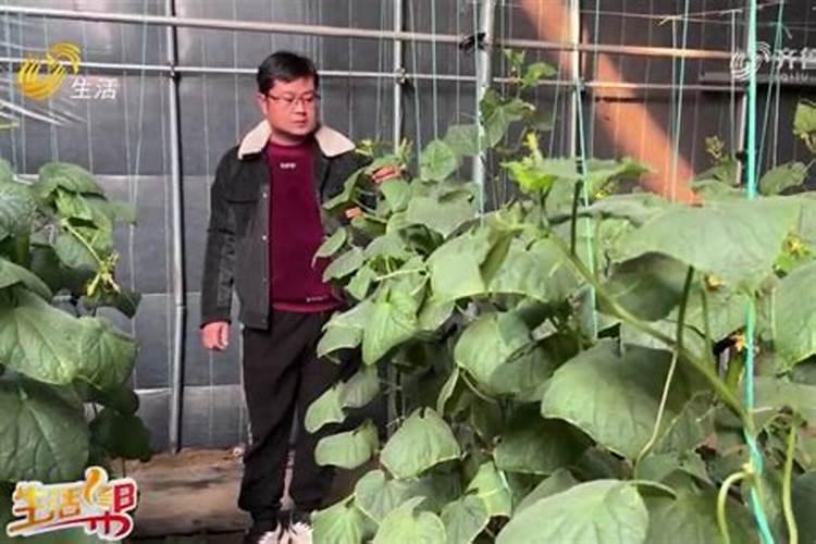 硝酸磷肥的生产方法是怎样的？