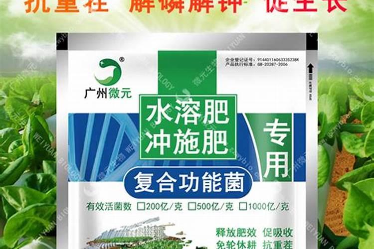 桃树追肥,腐植酸和氨基酸肥哪个增产效果更明显
