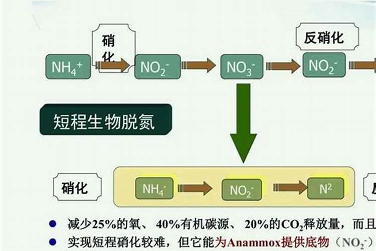 锌肥在玉米上怎样使用
