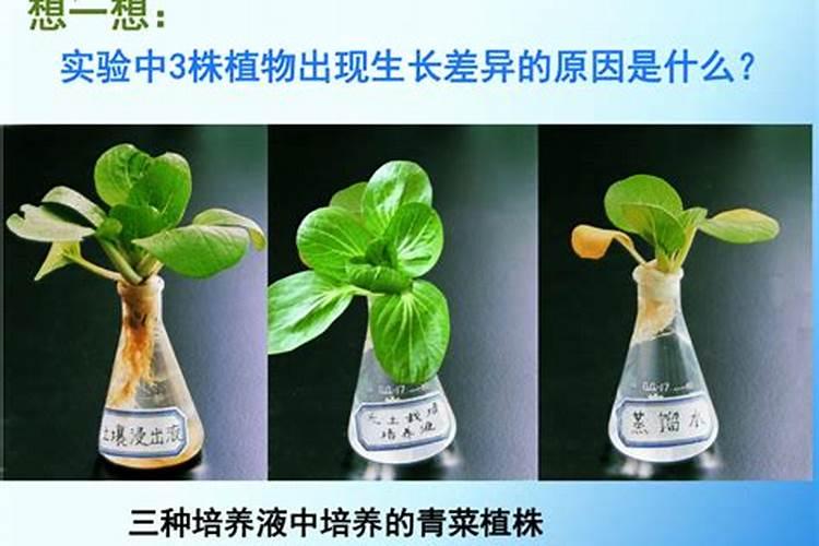 水溶肥有哪些