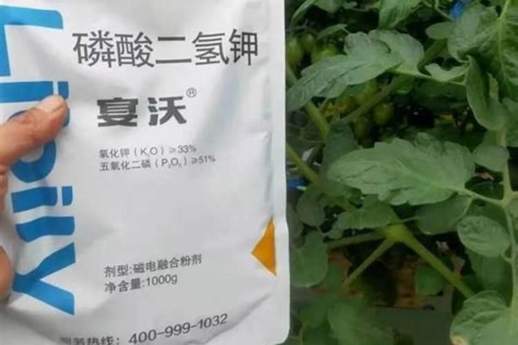 给花施肥的正确方法