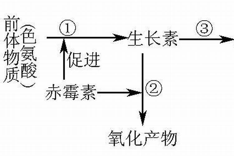 赤霉素加芸苔素应该怎么兑水？