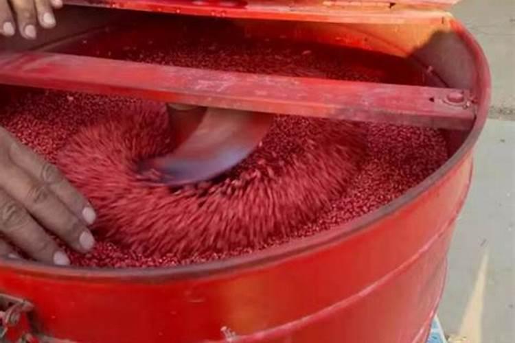 早春大棚豆角种植技术