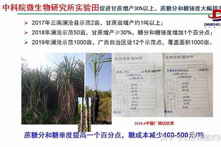 肥料增效剂一般有哪些