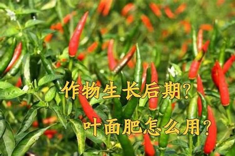 南方的种子能在北方种植吗？