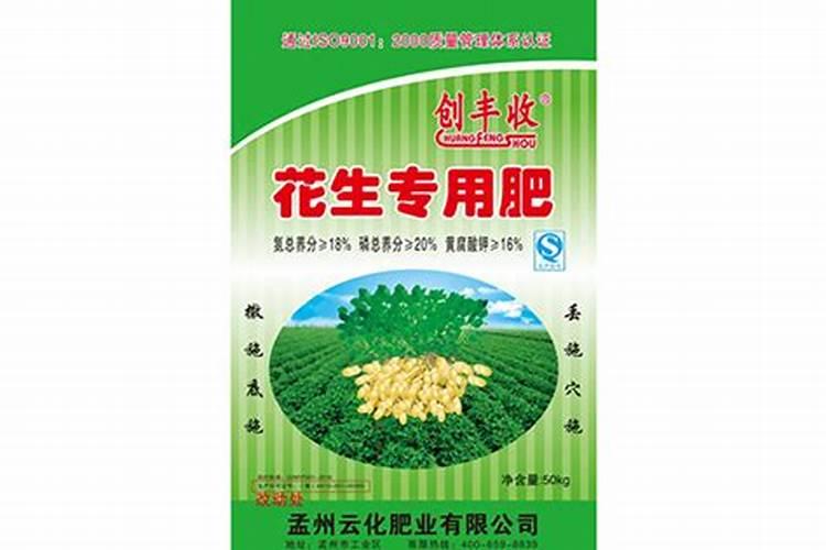 柑橘幼树施肥方法和注意事项