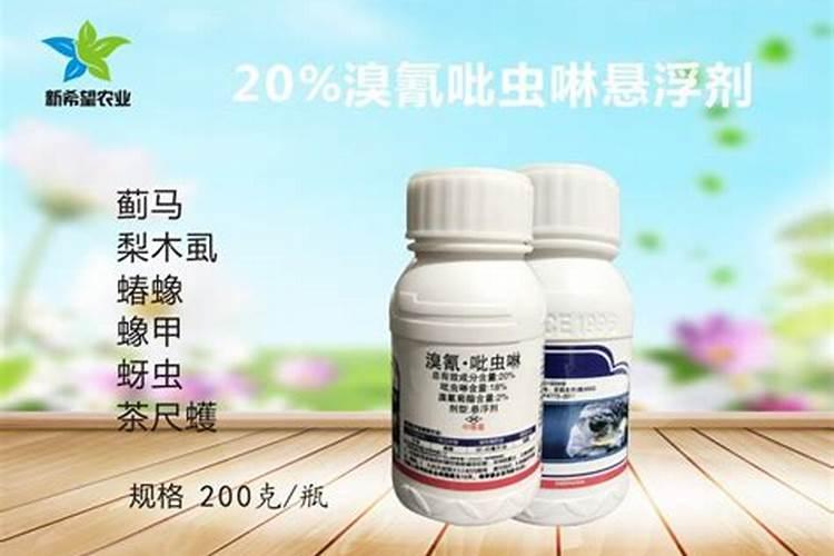 西瓜枯萎和蔓枯、蚜虫同时发生、怎么用药治疗