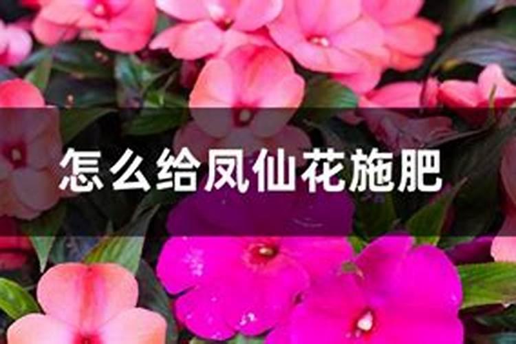 紫牛有机肥厂家介绍