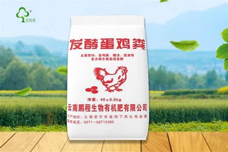土耳其 土耳其的世界遗产