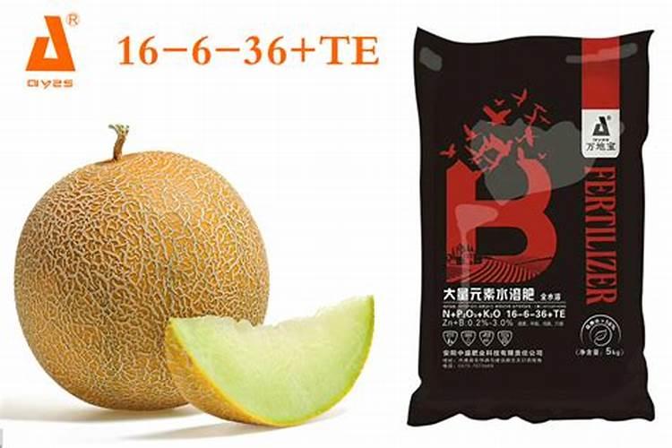 茄果类蔬菜灰霉病很严重,有哪些根治措施？