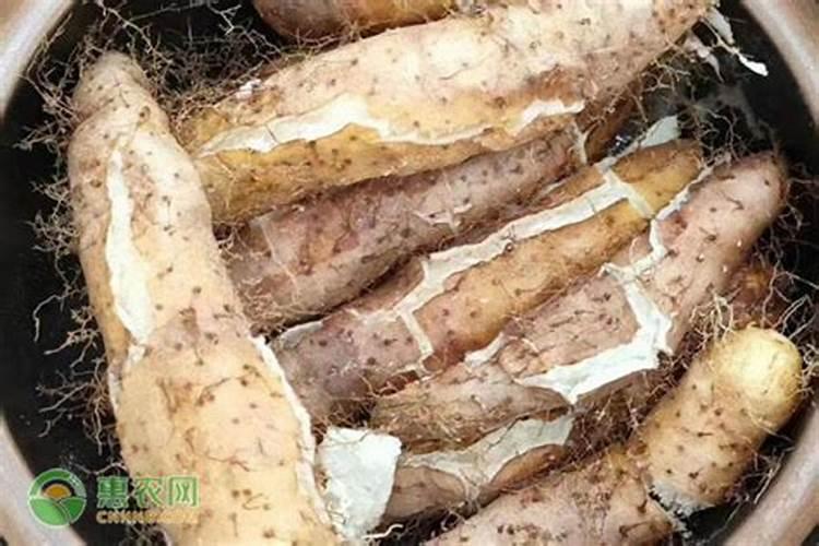 含腐殖酸的肥料有什么作用？