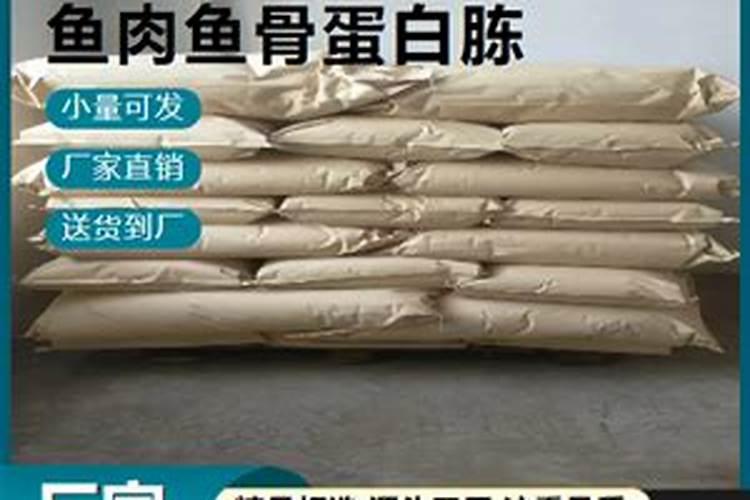 鱼蛋白的制作方法