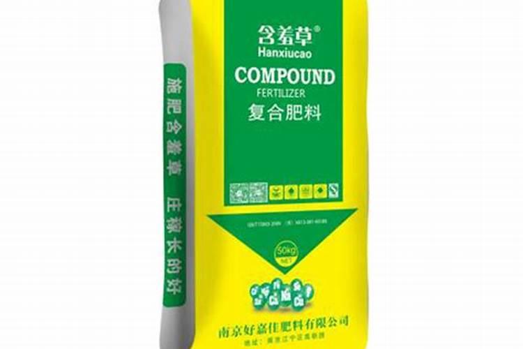 含羞草怎么养才能更旺盛？